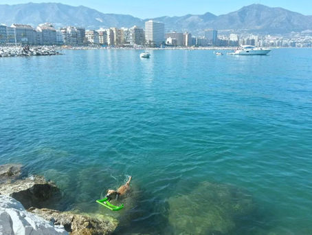 Pet-Friendly Places in Fuengirola