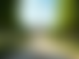 Discovering Aranjuez: The Hidden Versailles of Spain