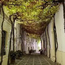 A Complete Travel Guide to Discovering Jerez de la Frontera