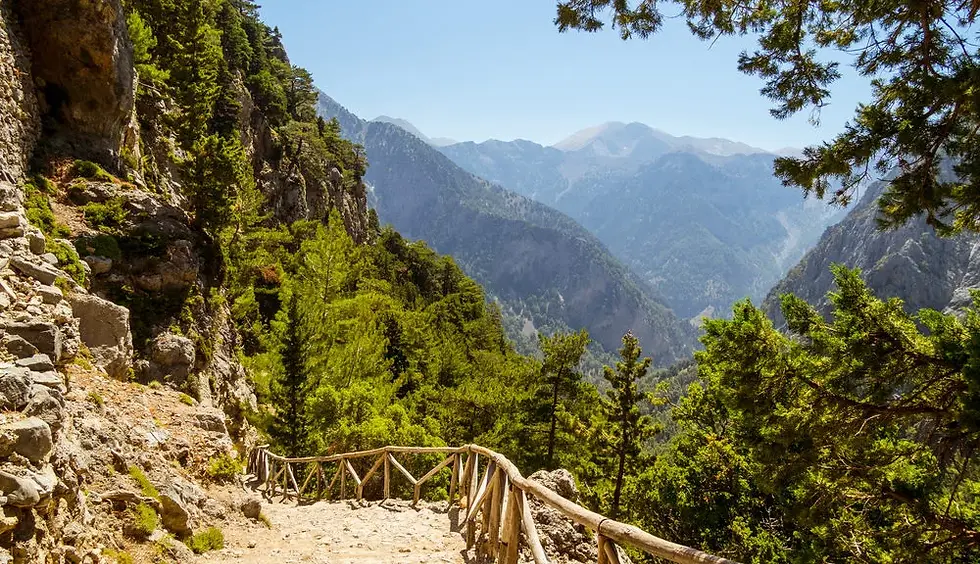 these bare limestone peaks have a pallid complexion.