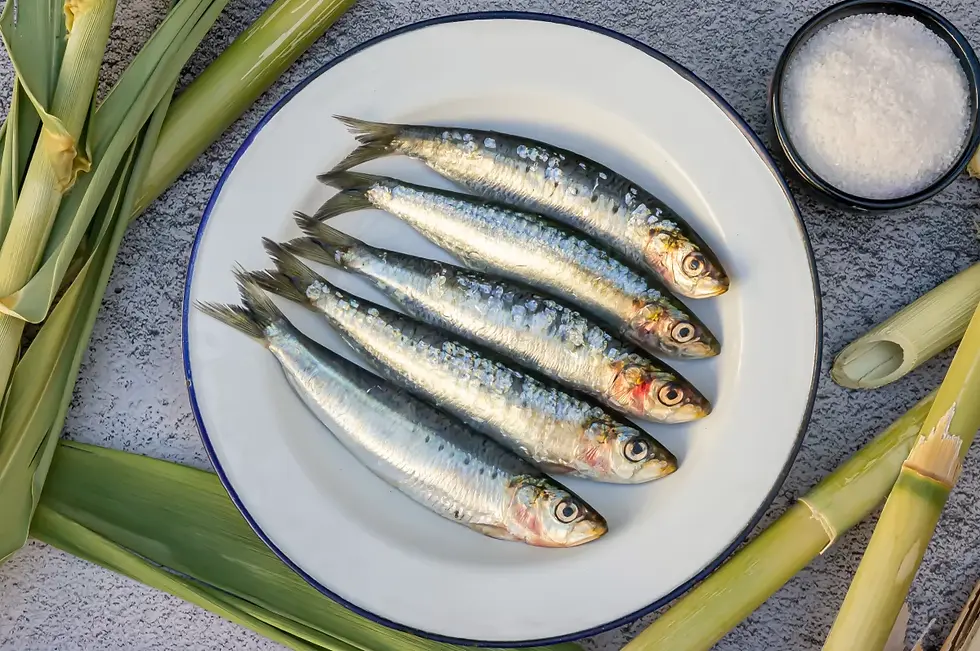fresh sardines