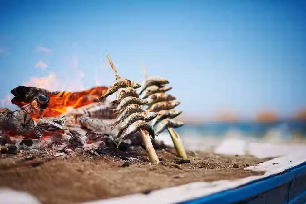 Discover the traditional delicacy of Málaga Sardine Skewers  