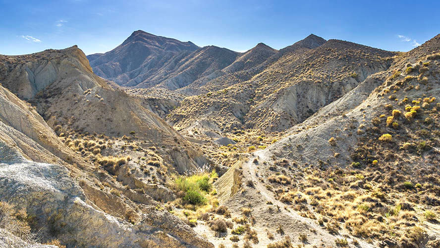 tabernas desert