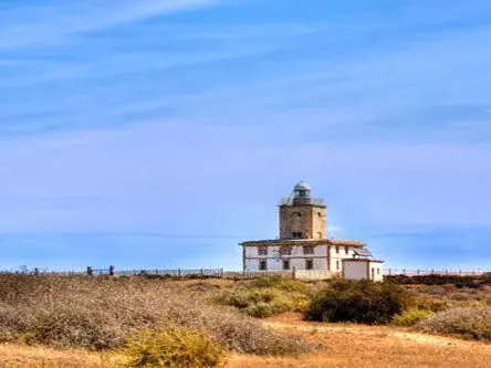 Lighthouse on a sunny day stands amidst a dry, bushy landscape under a clear blue sky, evoking a sense of solitude and tranquility.