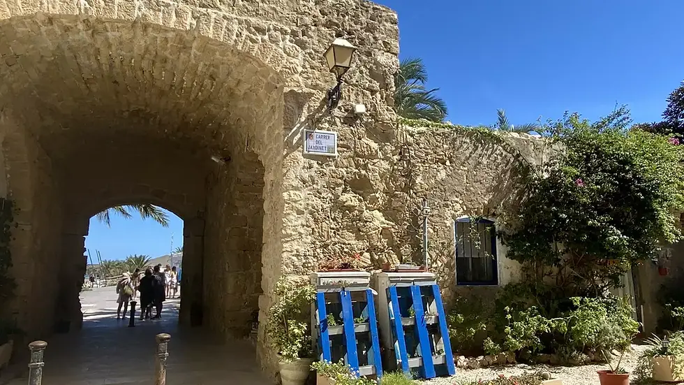 Stone archway under blue sky, people walking beneath. Walls lined with plants; blue pallets and a sign reading "Carrer del Jardinets".