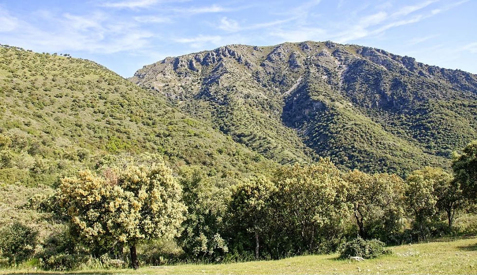 Sierra de Grazalema Natural Park