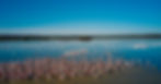 The Doñana National Park