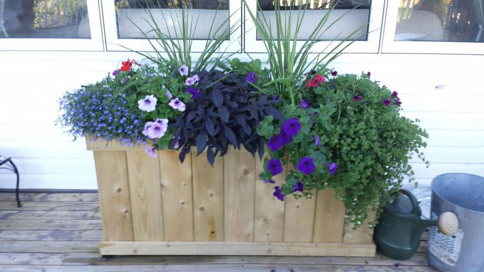 custom window box