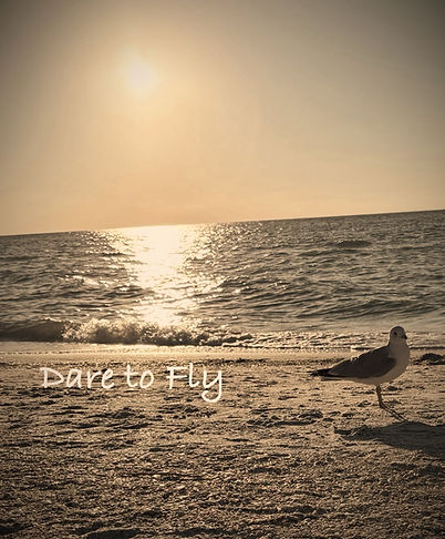Dare to Fly Logo_edited.jpg