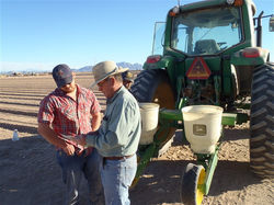 Ian & Guy Planting 2015 Veggies