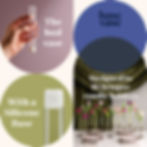 Thumbnail: Base Vase - 3 Pack (Clear)