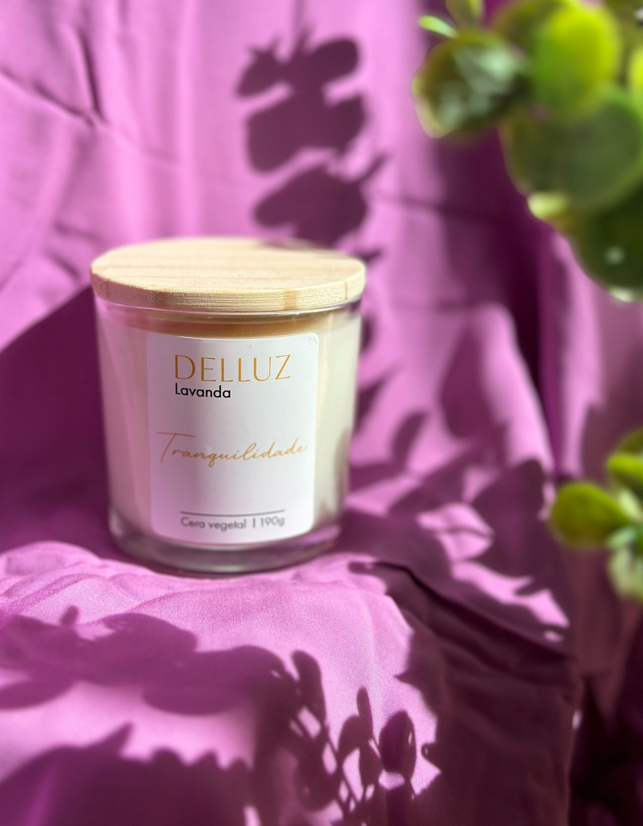 Vela aromática de Lavanda 190g