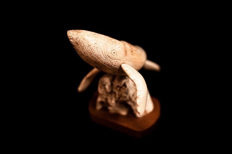 Thumbnail: HUMPBACK WHALE - FOSSILIZED WALRUS - ANDREI MOROZOV