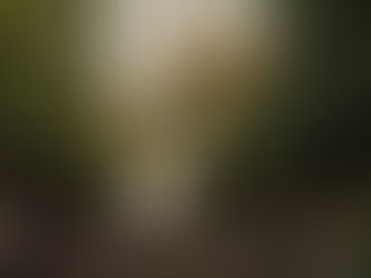 Engagement film photo of a couple in Tuileries Garden, sharing a romantic moment captured on timeless film