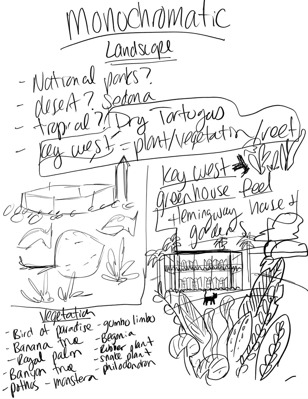 Sketch Progress 1