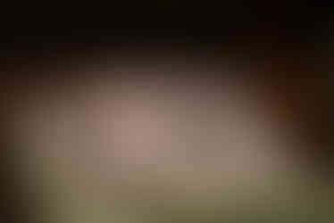 Valdas Kurklietis / LT|SE