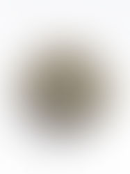 Hanna Miadzvedzeva (PL-BY). THE FOGGY LANDSCAPE. - 5800 Eur