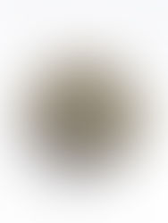 Hanna Miadzvedzeva (PL-BY). THE FOGGY LANDSCAPE. - 5800 Eur