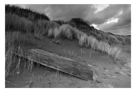 Black and white photograph at Crymlyn Burrows, South Wales. Dunes, marram grass and a sheet of wood.  Dramatic sky in the background.