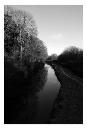 Black and white photograph of the Tennant Canal in South Wales. View of canal and trees in low light.