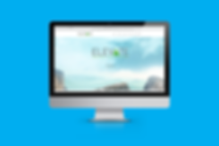 Elevate Business Advisory Website