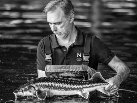 Caviar de Neuvic - Laurent Deverlanges
