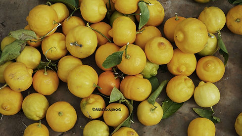 CITRON2.jpeg