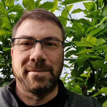 Agrumes Pelerin – Gilles Pelerin