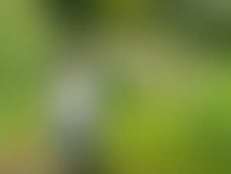 Hôtel Restaurant Le Sauvage – Hugo Mathieu