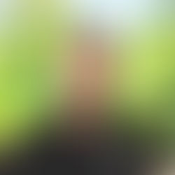 Brasserie des Trois Becs - Emmanuel Feraa