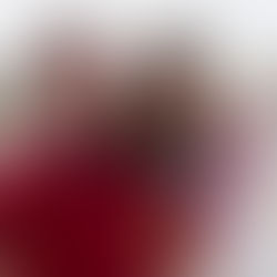 L’Amandelier en Provence - William et Géraldine Calvière