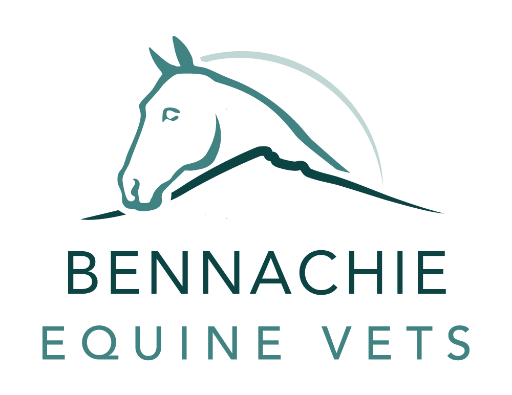 Writer: By Mairi Sinclair BVM&S MRCVS, Equine Vet at Bennachie Equine Vets