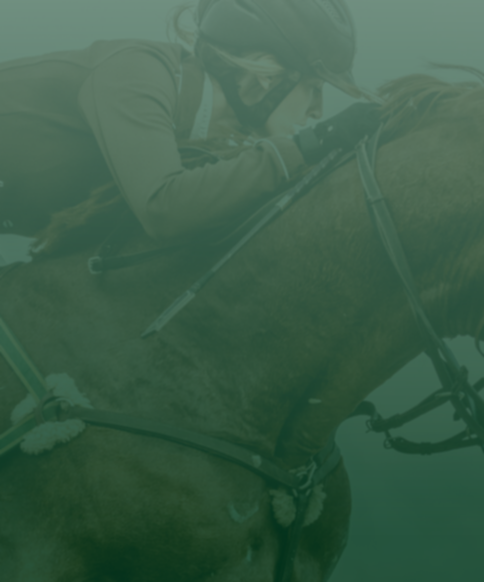 Equine Times (Hosting & Domain) (1).png