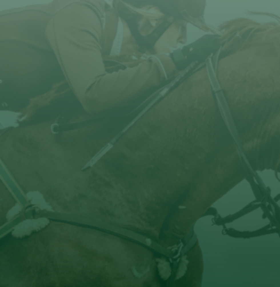 Equine Times (Hosting & Domain) (1).png
