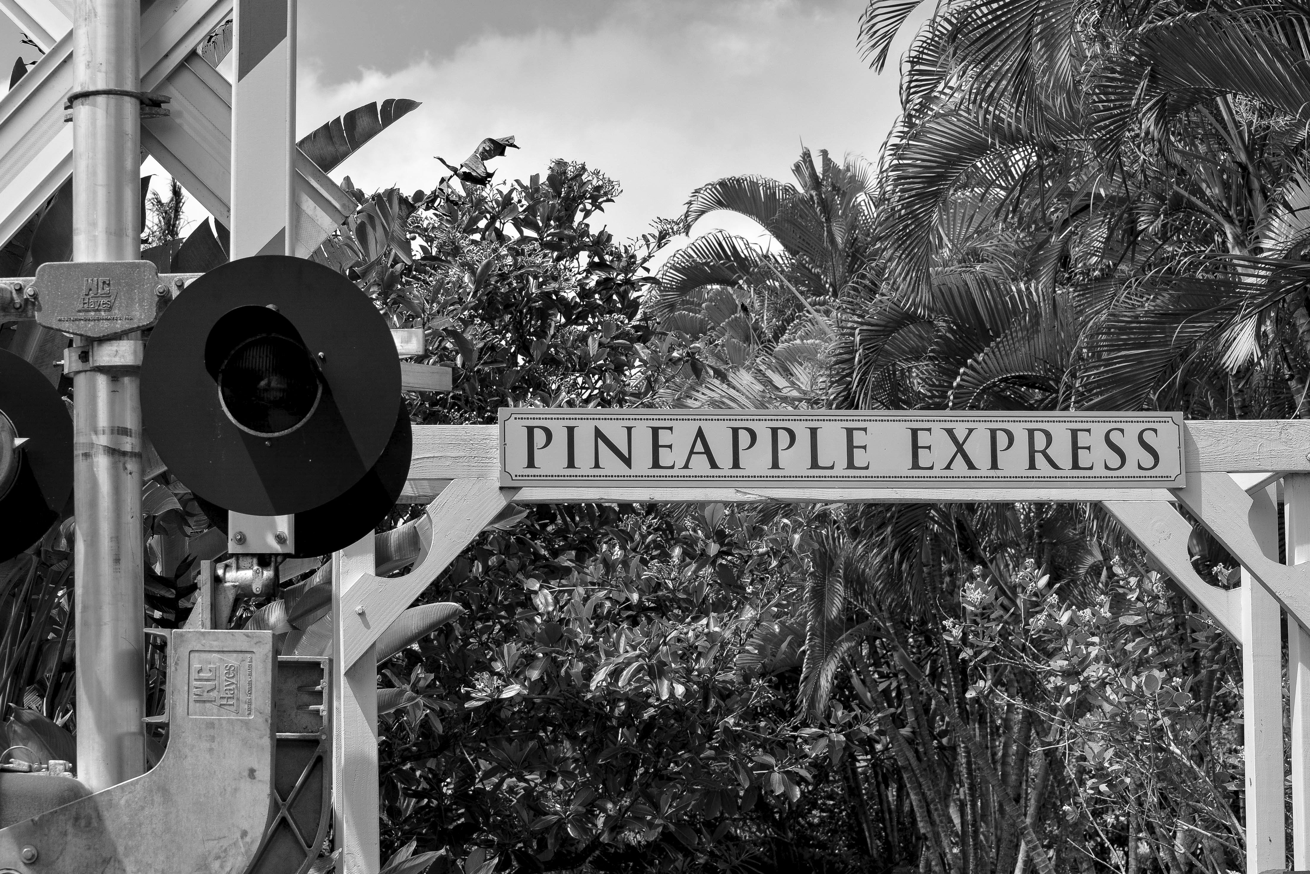 Pineapple Express Dole Plantation