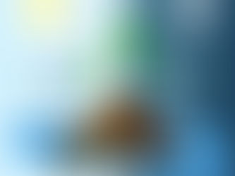 Donker Fotosintese en Stikstof binding