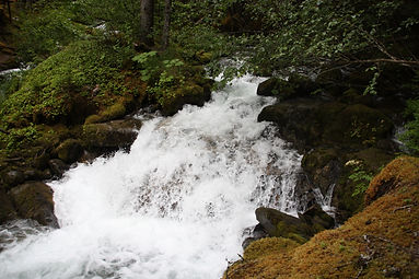 IMG_8742.jpg