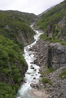 IMG_9096.jpg
