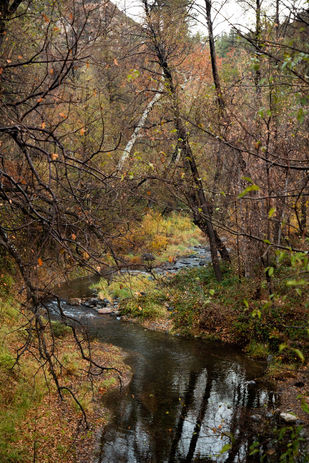 A view of Oak Creek in Arizona from a bridge crossing on the West Fork Trail, Nov. 23, 2021.