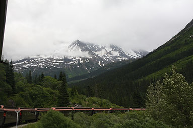 IMG_8985.jpg