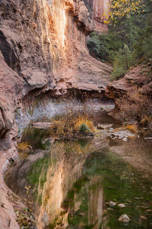 Light bounce off the canyon walls on the West Fork Trail, Nov. 23, 2021.