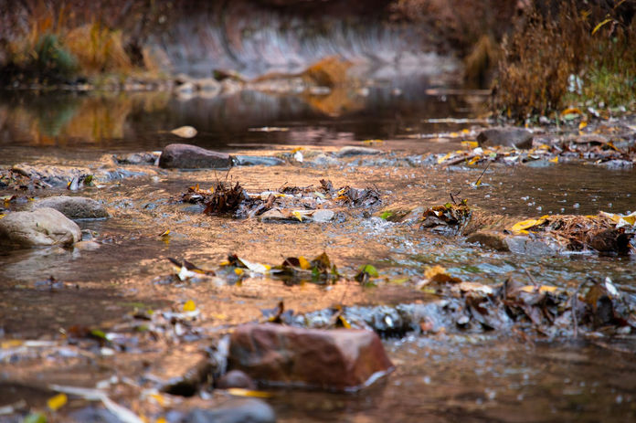 Oak Creek flows through a series of rocks as late November leaves fall into the water, Nov. 23, 2021.