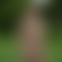 Kae Tempest - credit: Wolfgang Tillmans