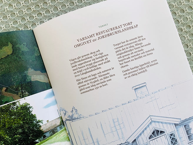 Mäklarvärdering_inledning