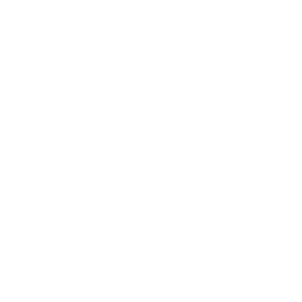 vivato Logo Fuchs weiß_transparent sehr groß.gif