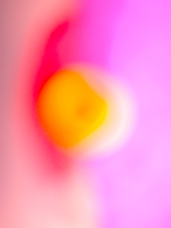 the beginning photography dematerialisation entmaterialisierung sarah stifter artist art