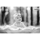 03191©DFA.jpg
