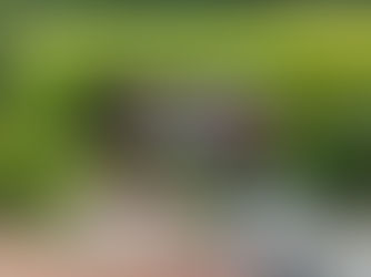 Auf dem Weg zur Energieunabhängigkeit