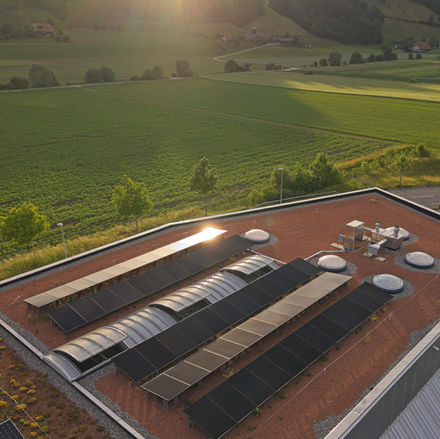 Nachhaltiges Wachstum: Solaranlage auf Industriegebäude