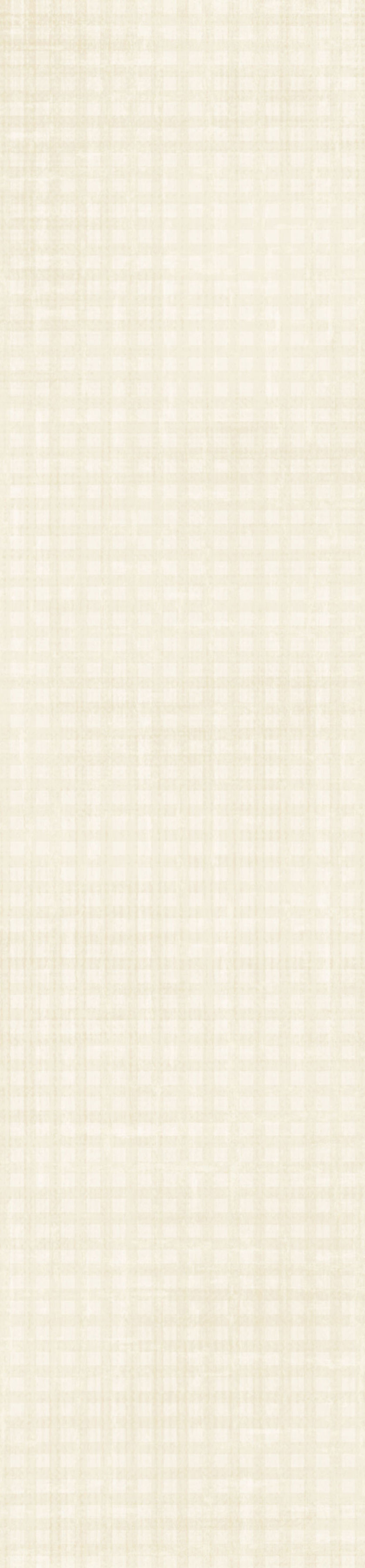 jss_justbeachy_paper gingham white.jpg